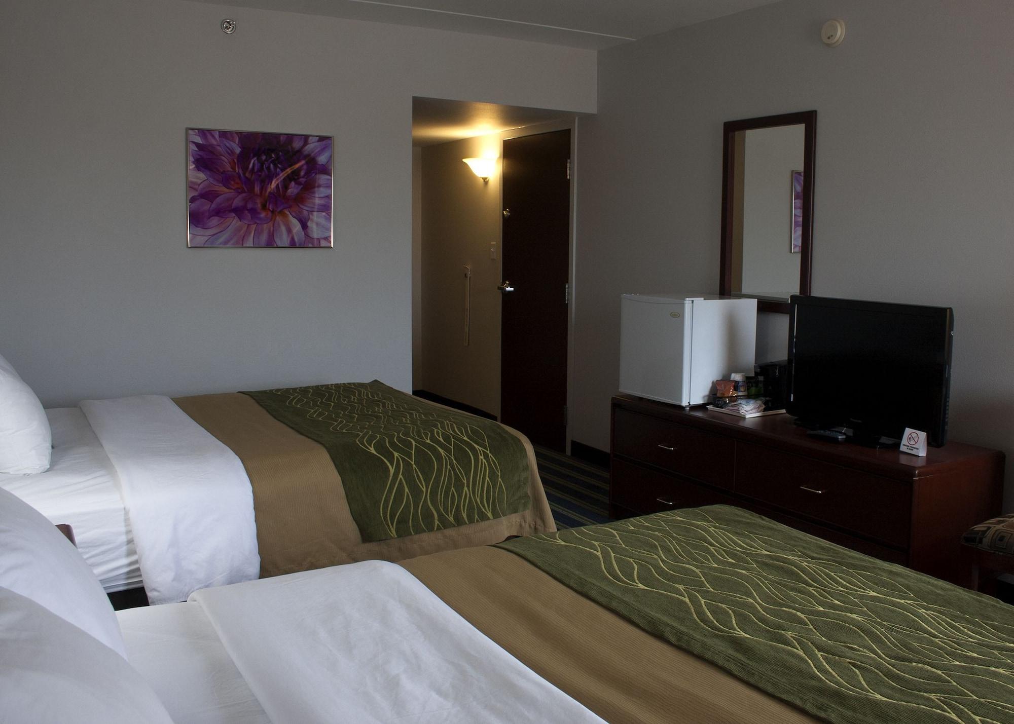 Comfort Inn & Suites Мус-Джо Екстер'єр фото