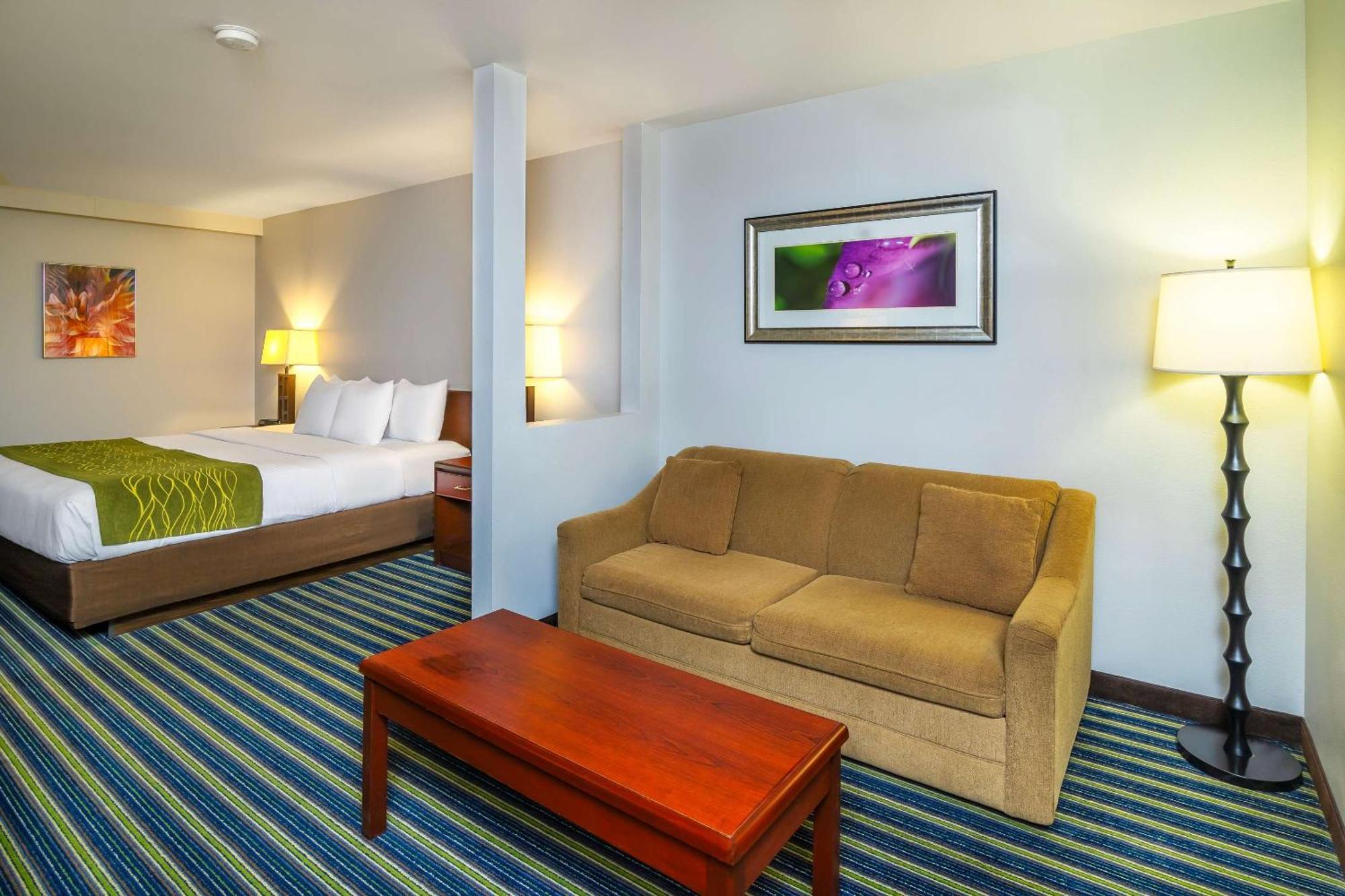 Comfort Inn & Suites Мус-Джо Екстер'єр фото